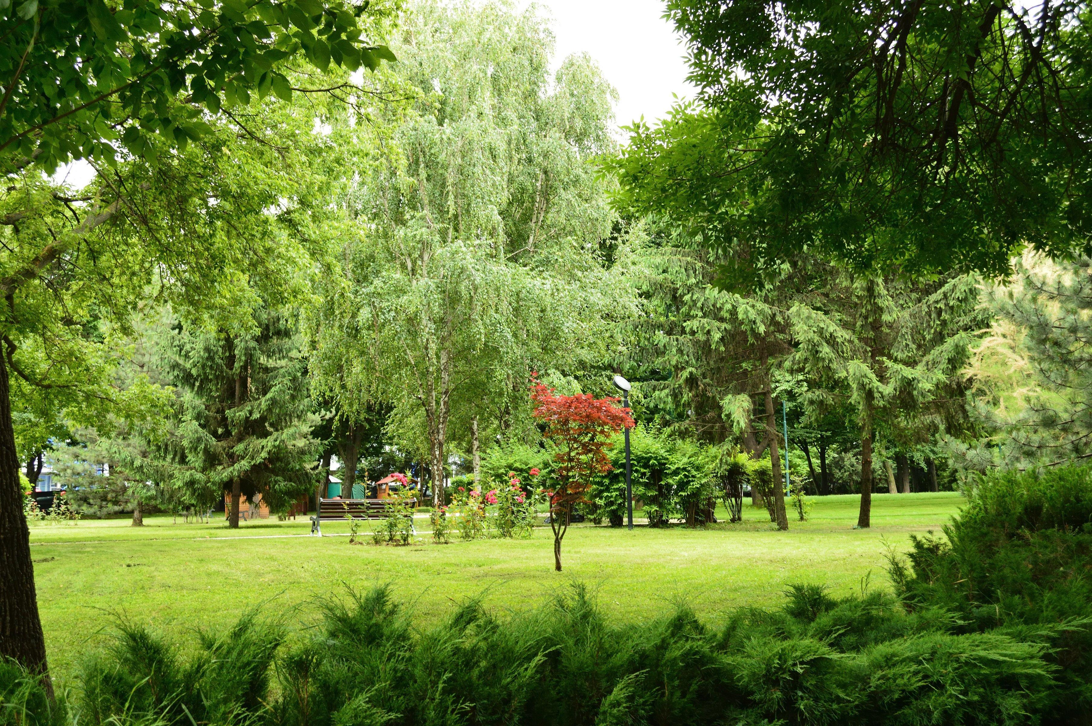 Crowne Plaza Bucharest, An Ihg Hotel Dış mekan fotoğraf